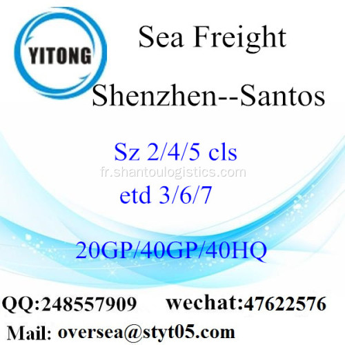 Fret maritime Port de Shenzhen expédition à Santos